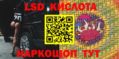 МДПВ Новокубанск