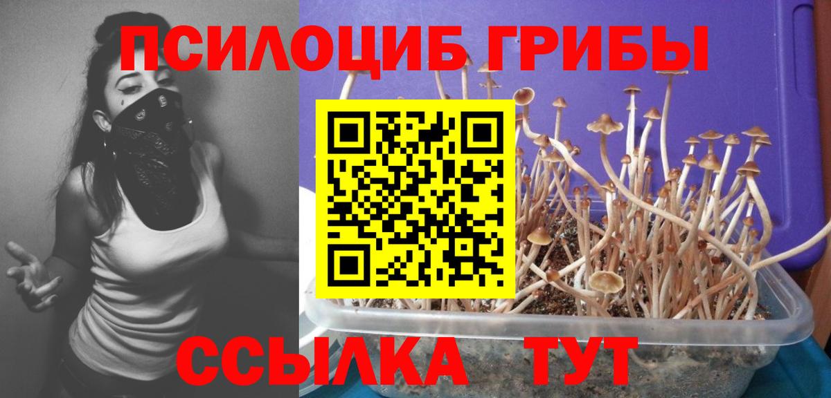 Рязань  Галлюциногенные грибы Psilocybe  Вход с VPN  Псилоцибиновые грибы Magic Shrooms 
